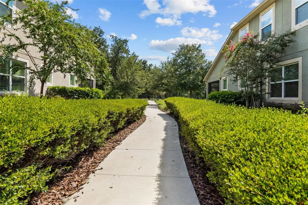 14221 PONDHAWK LANE Tampa, FL 33625