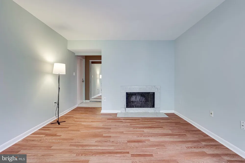 2210 SPRINGWOOD DRIVE #207 Reston, VA 20191