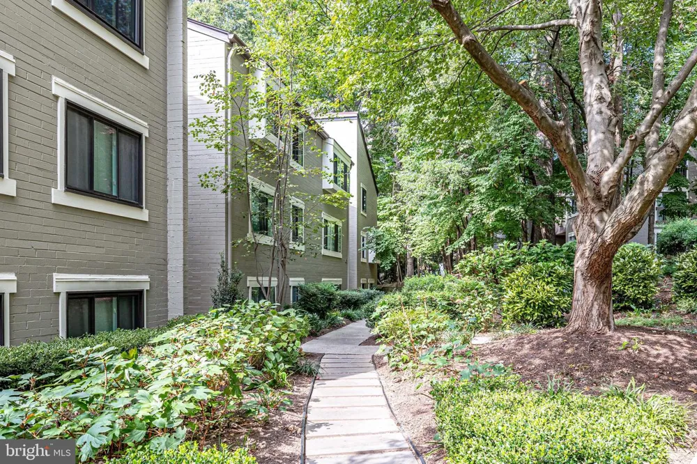 2210 SPRINGWOOD DRIVE #207 Reston, VA 20191