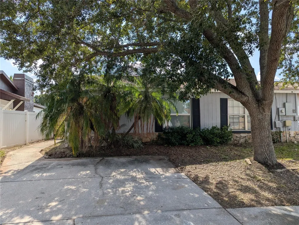 1209 MOHRLAKE DRIVE Brandon, FL 33511