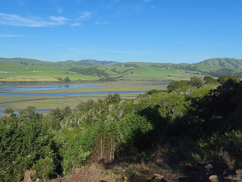 20 Redwood Avenue Inverness, CA 94937
