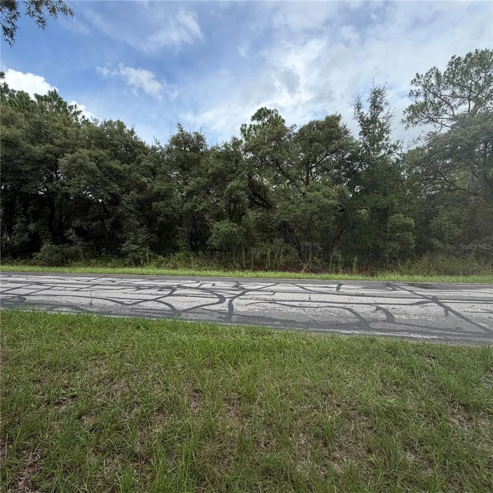 9512 AKOLA WAY Citrus Springs, FL 34434