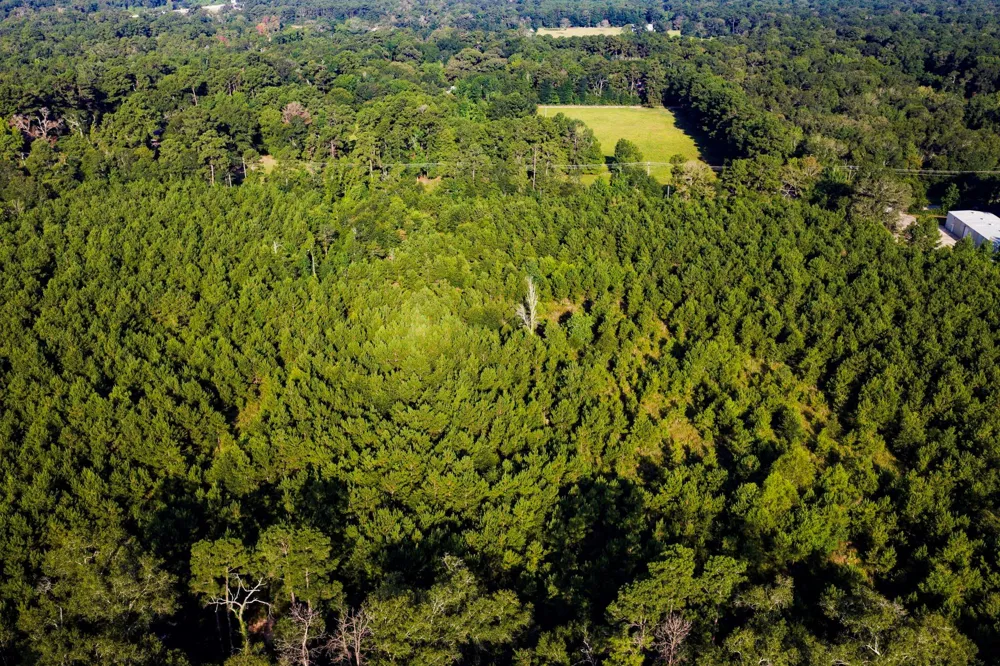 1378 Duck Creek B Road Cleveland, TX 77328