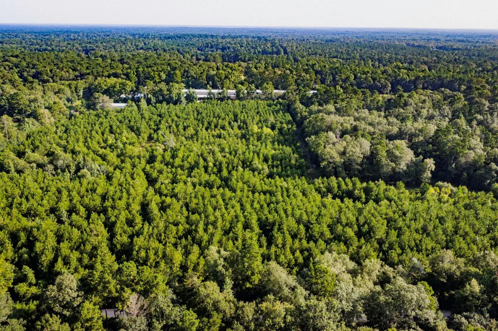 1378 Duck Creek B Road Cleveland, TX 77328