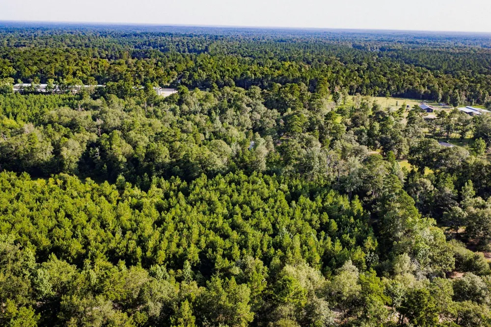 1378 Duck Creek B Road Cleveland, TX 77328