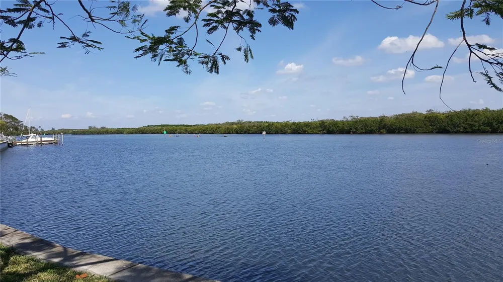 3259 MANGROVE POINT DRIVE Ruskin, FL 33570