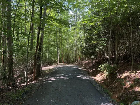 0 Panico Trail