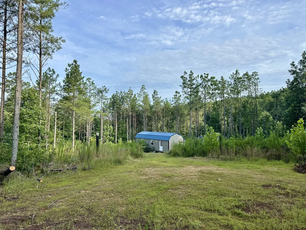 126 Howard Way Hohenwald, TN 38462