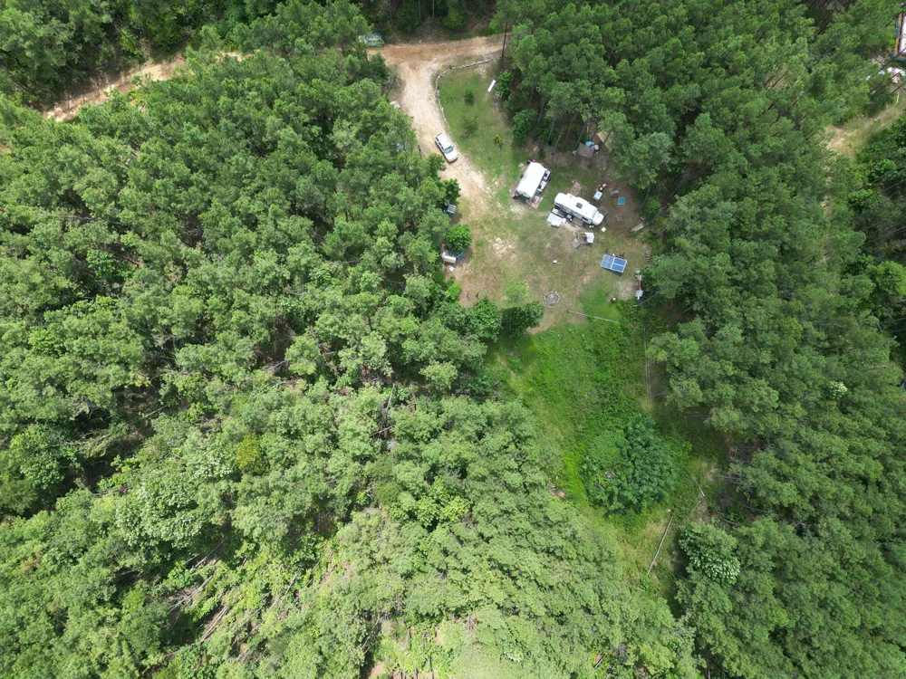 126 Howard Way Hohenwald, TN 38462