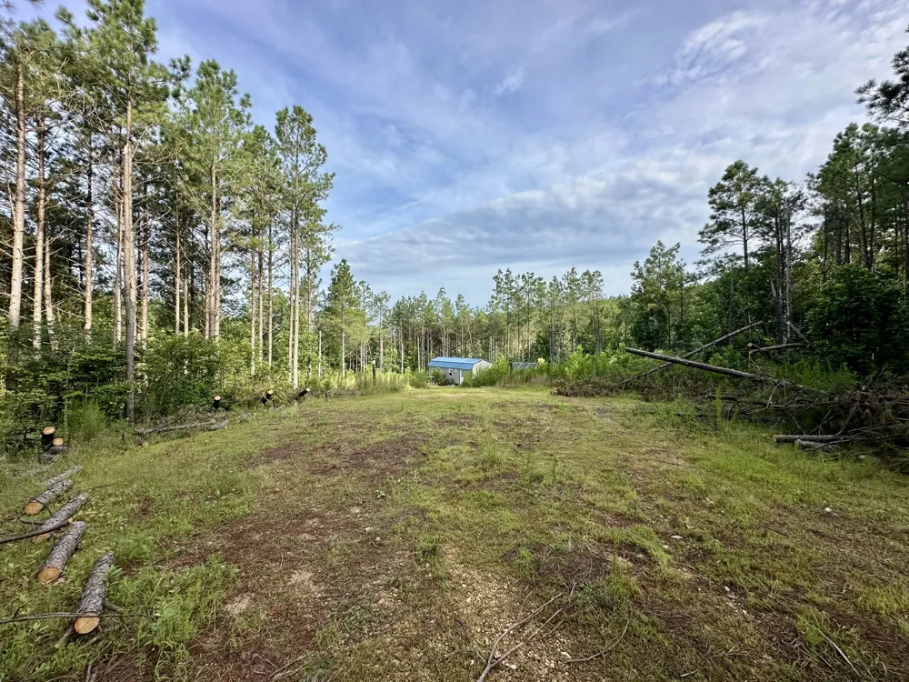 126 Howard Way Hohenwald, TN 38462
