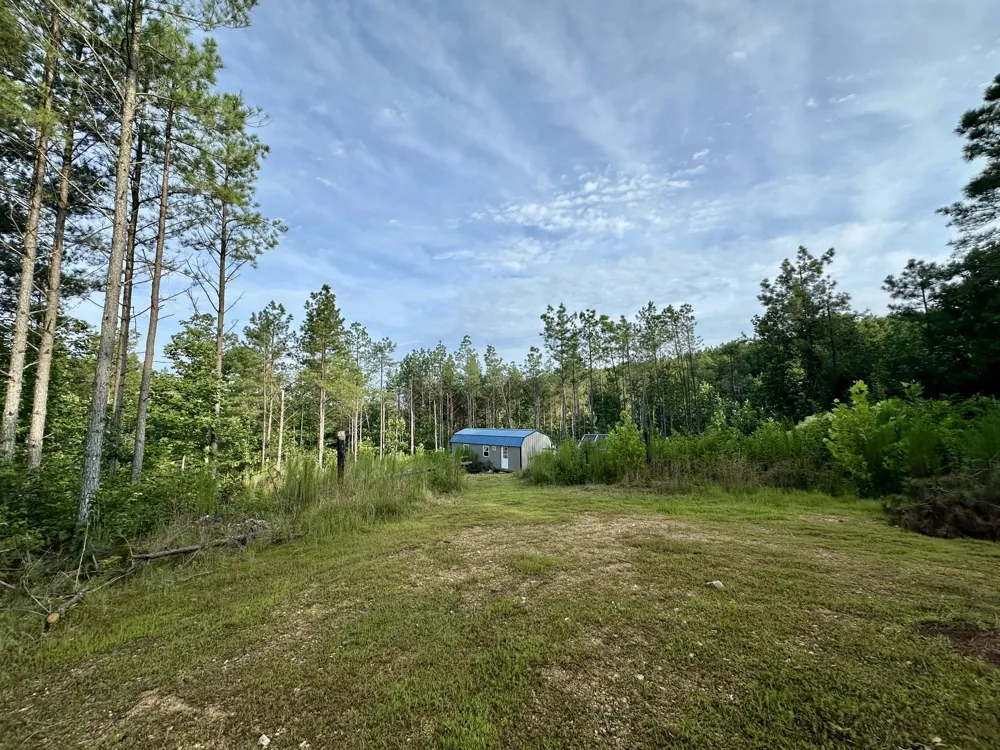 126 Howard Way Hohenwald, TN 38462
