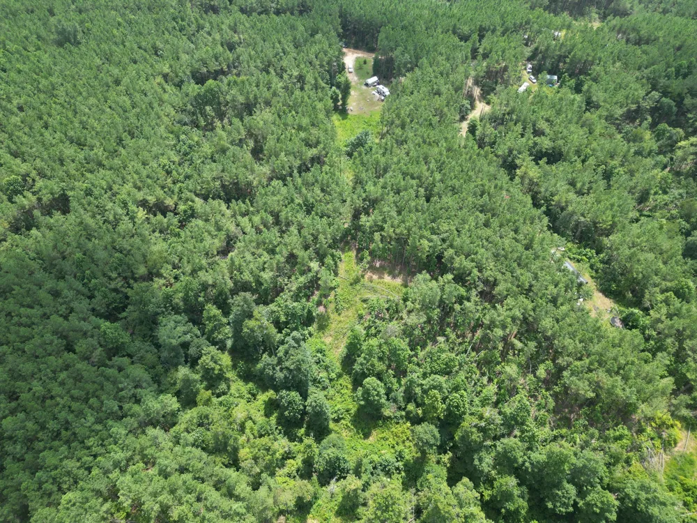 126 Howard Way Hohenwald, TN 38462