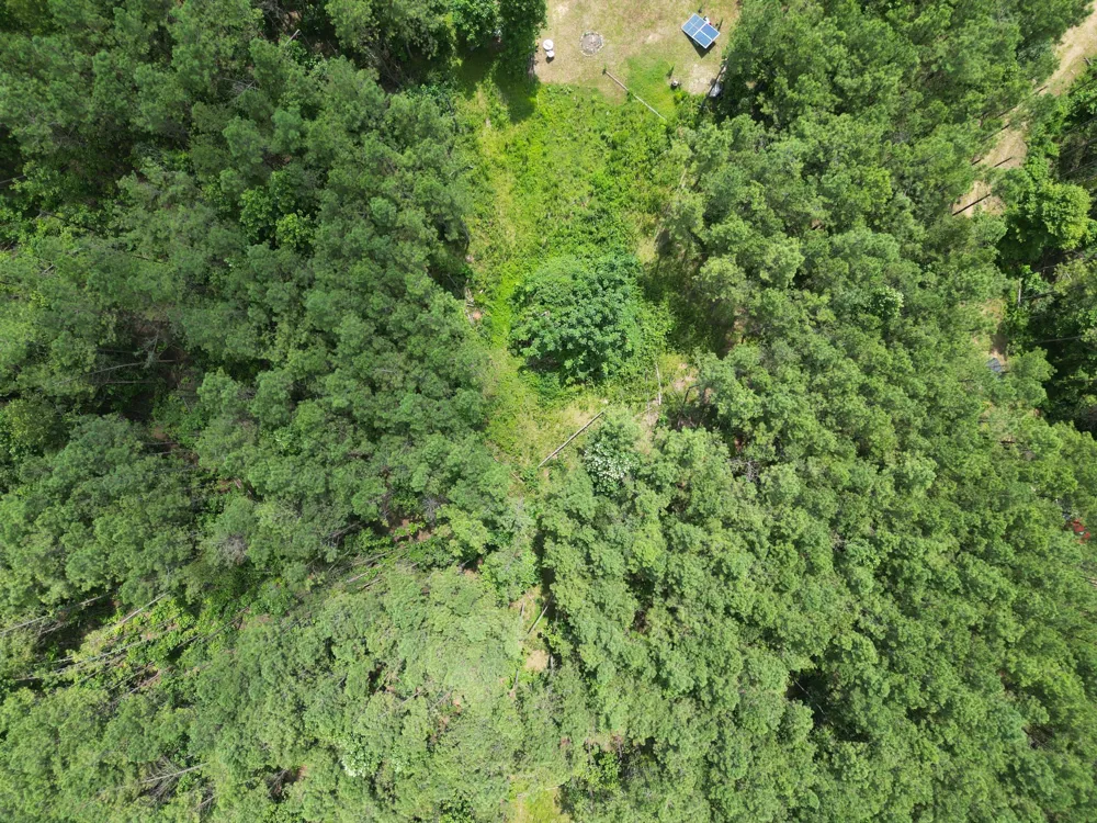 126 Howard Way Hohenwald, TN 38462