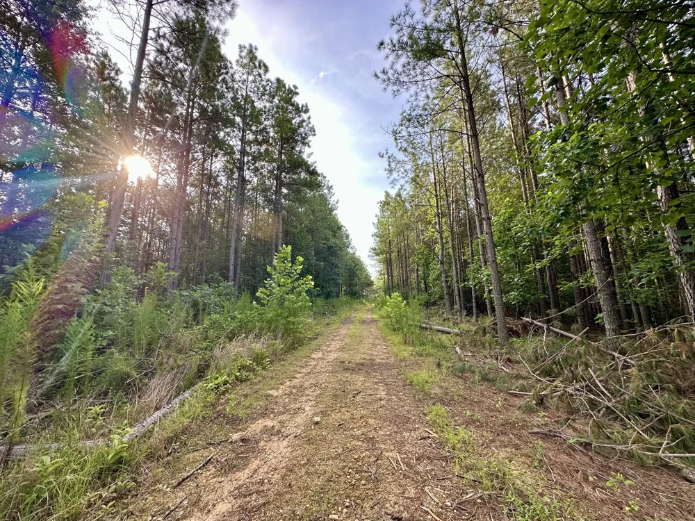 126 Howard Way Hohenwald, TN 38462