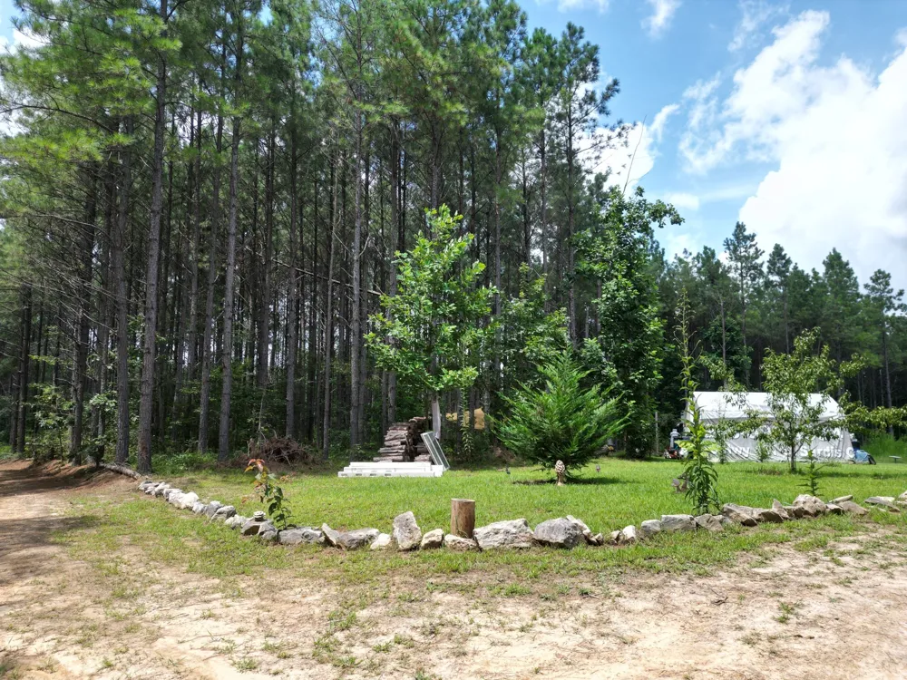 126 Howard Way Hohenwald, TN 38462