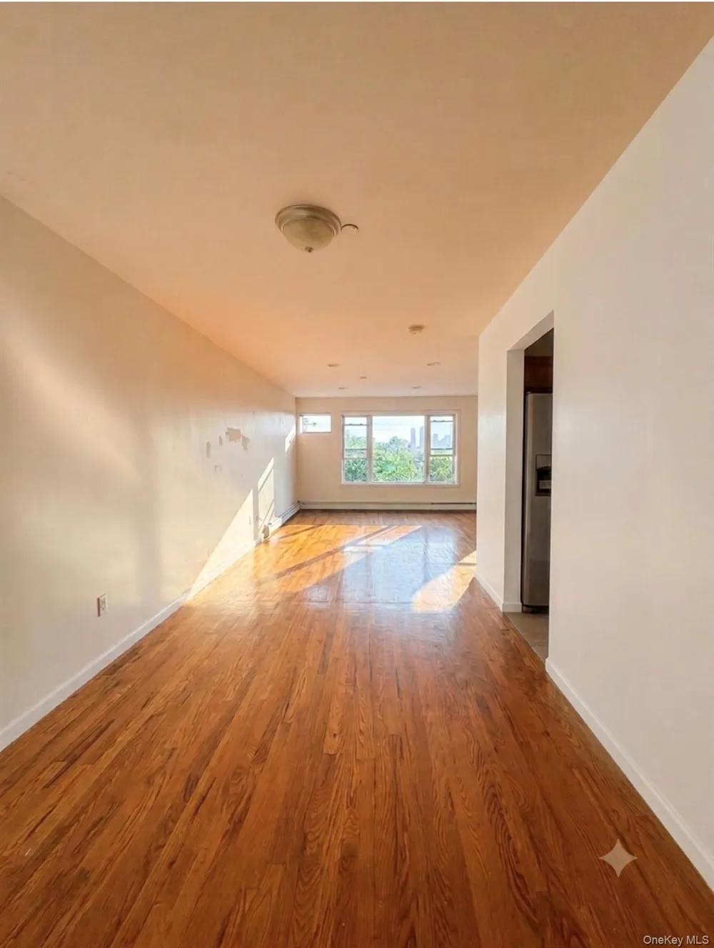 923 Euclid Avenue Brooklyn, NY 11208