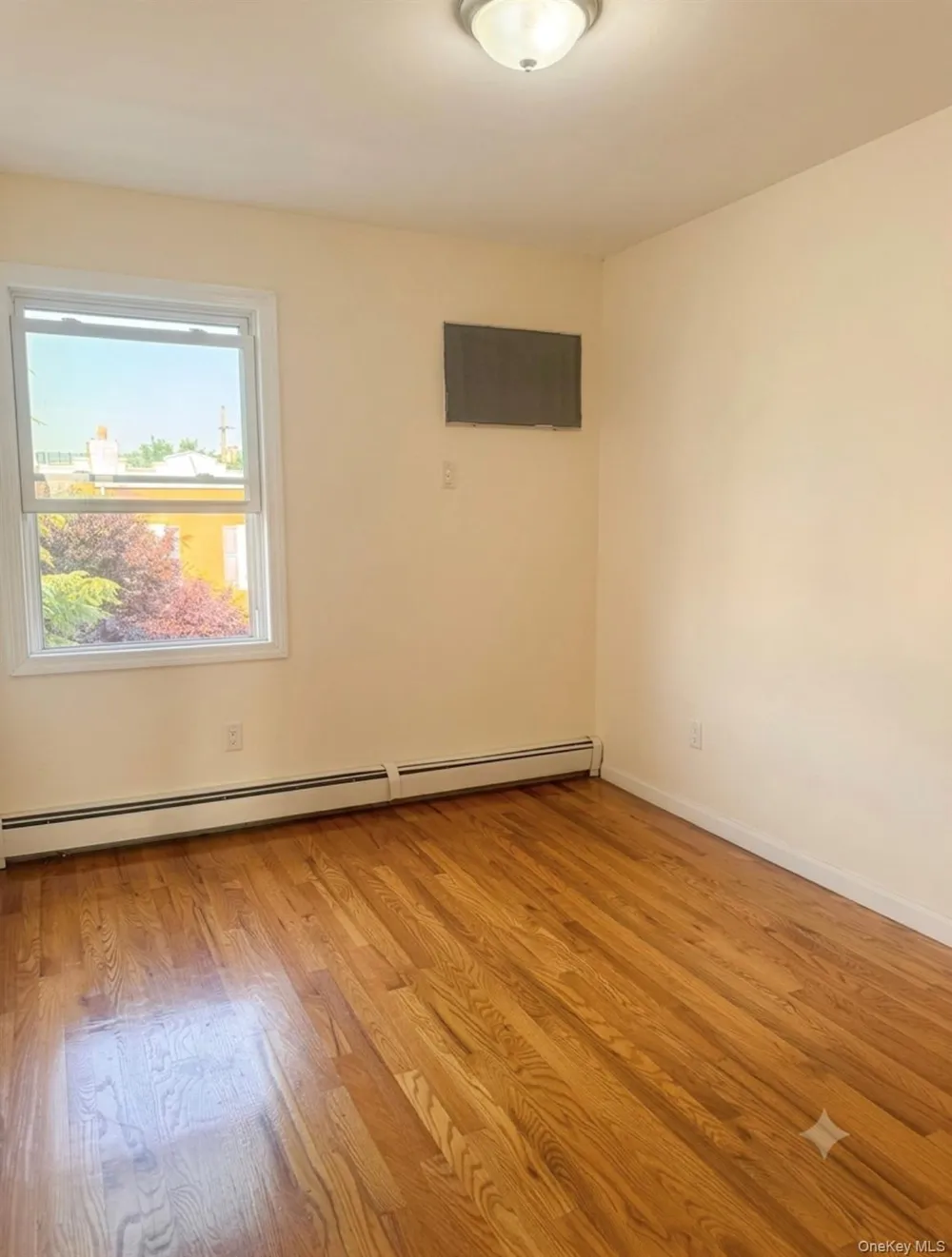 923 Euclid Avenue Brooklyn, NY 11208
