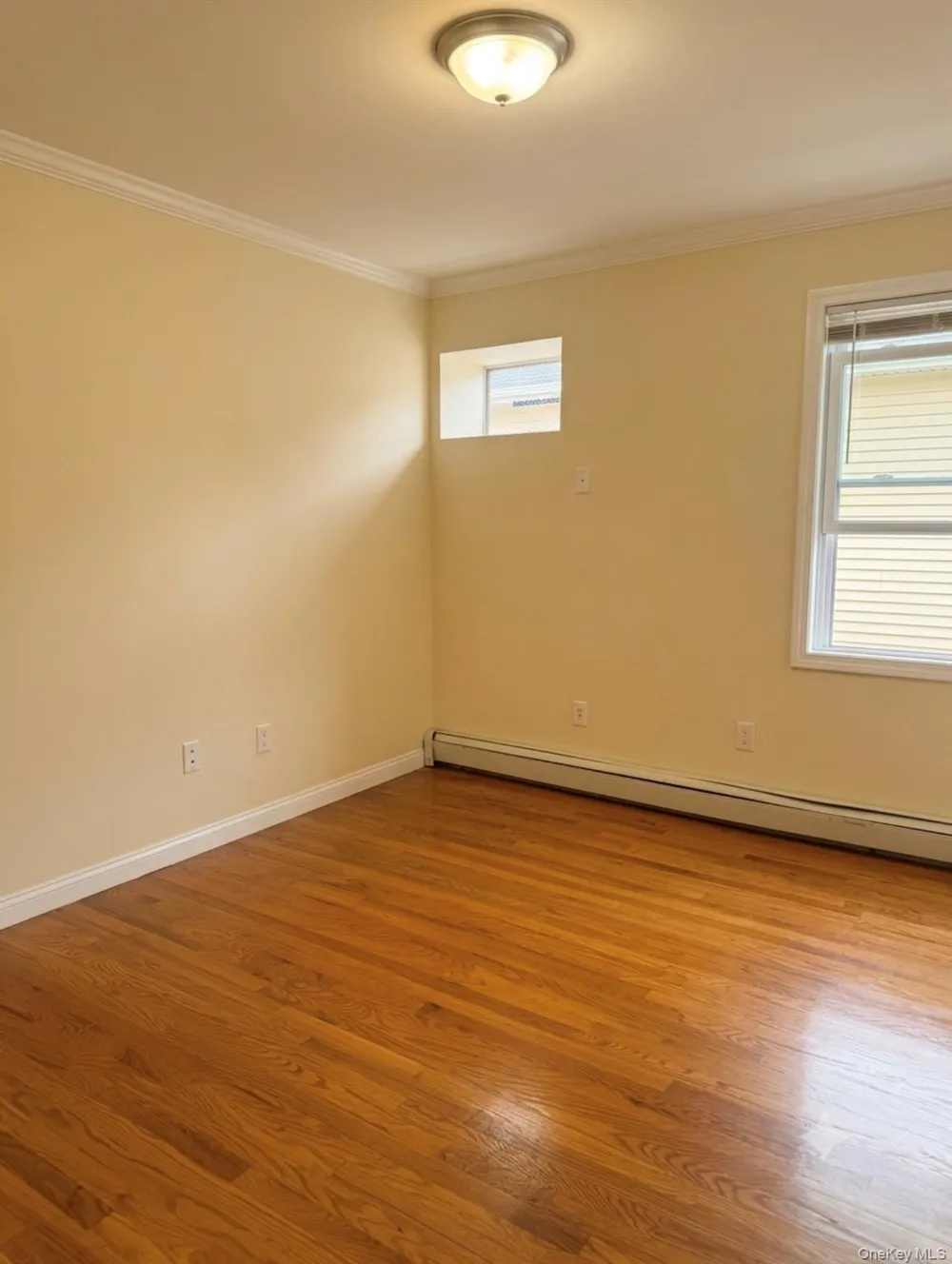 923 Euclid Avenue Brooklyn, NY 11208