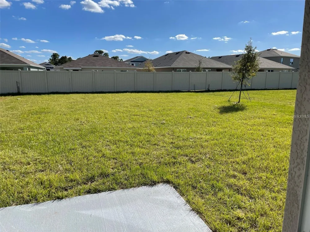 15596 BLACK PEPPER LANE Odessa, FL 33556
