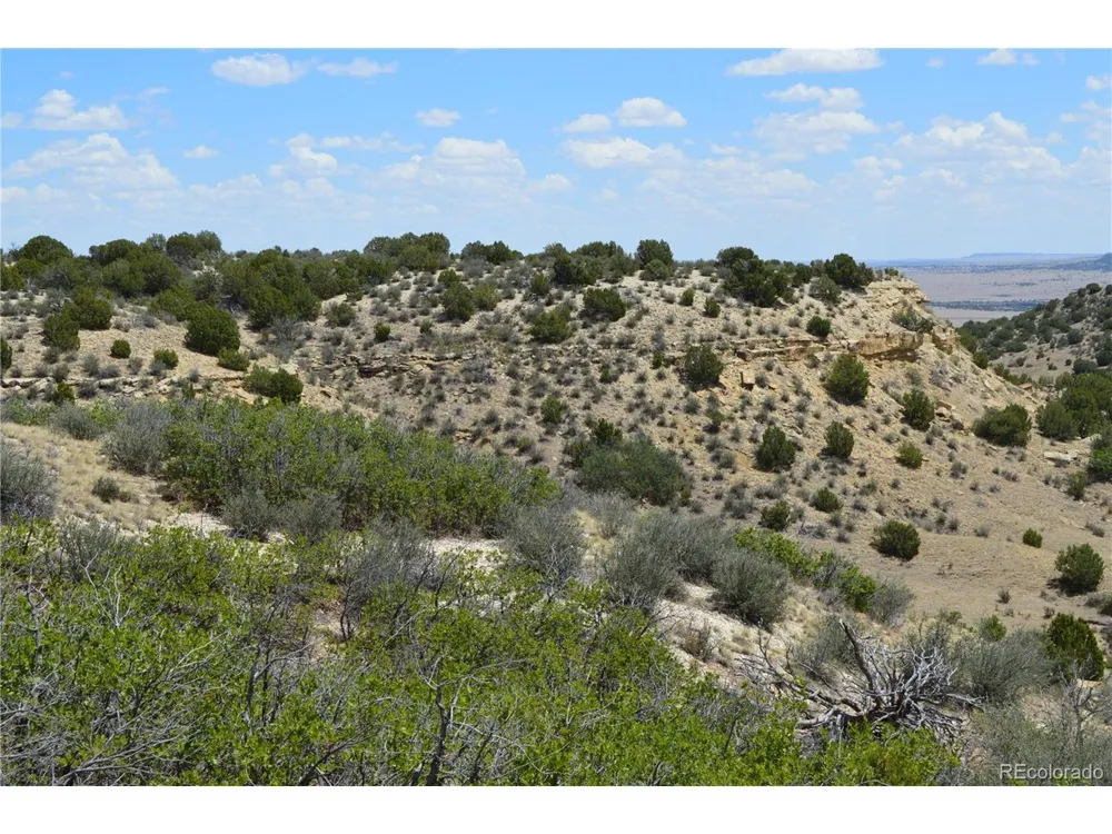 0 Claymine Road Rye, CO 81069