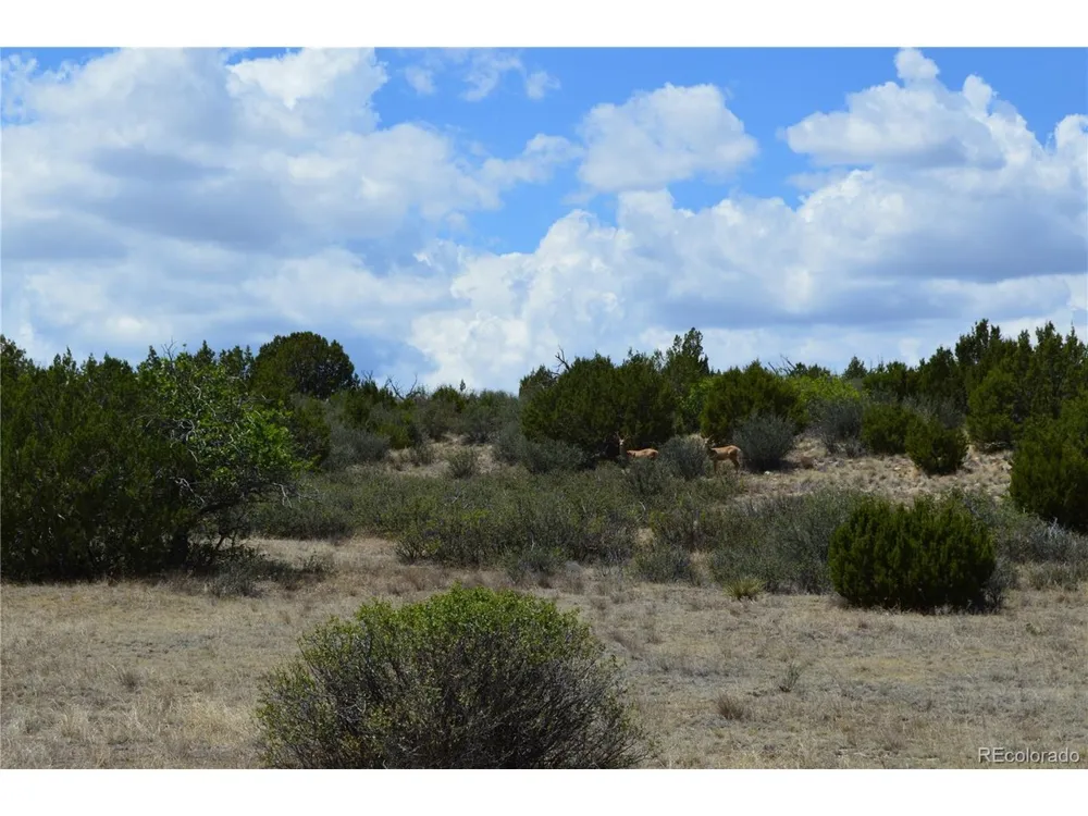 0 Claymine Road Rye, CO 81069