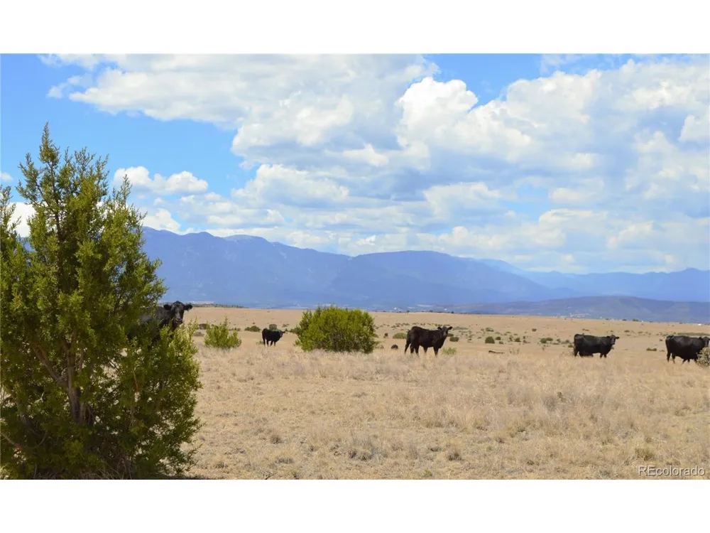 0 Claymine Road Rye, CO 81069