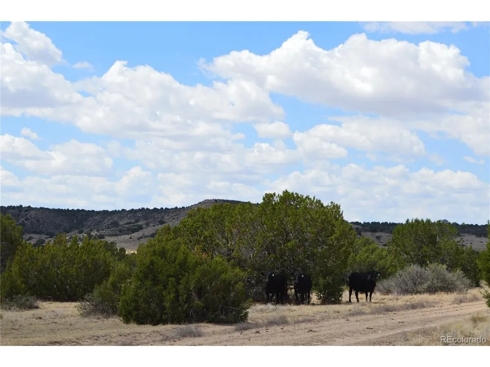 0 Claymine Road Rye, CO 81069
