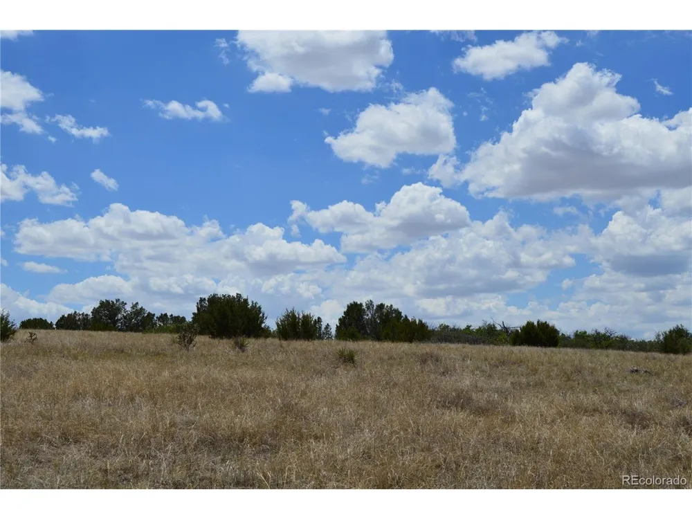 0 Claymine Road Rye, CO 81069