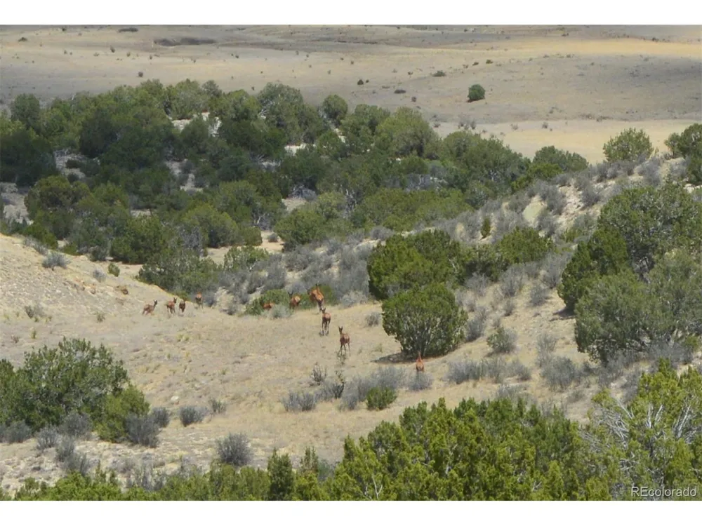 0 Claymine Road Rye, CO 81069