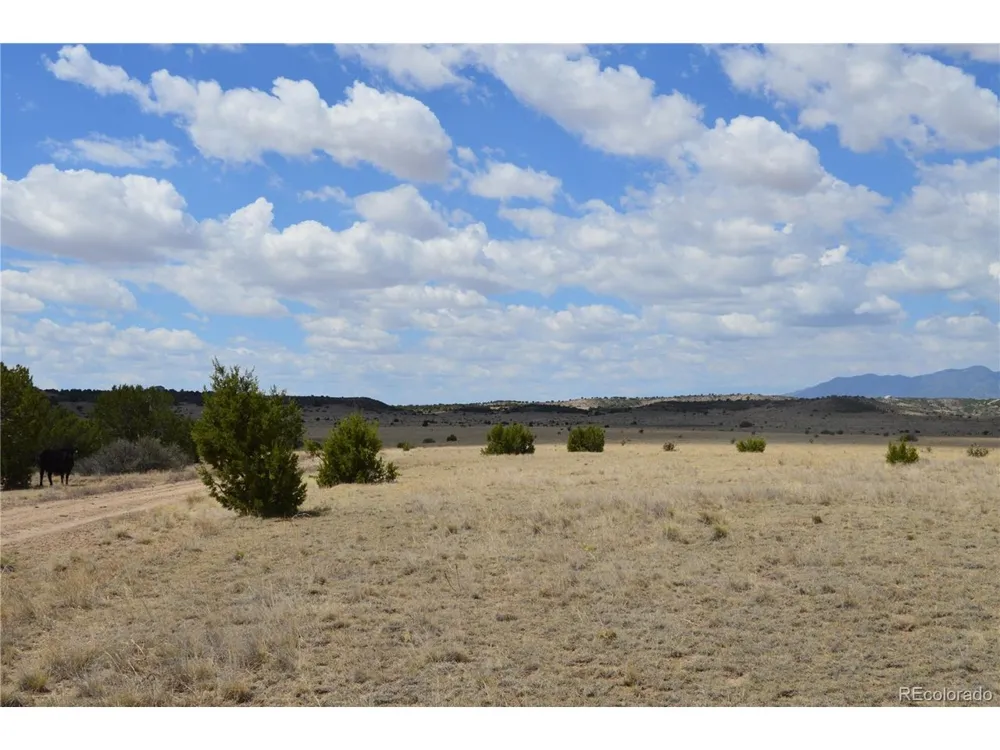 0 Claymine Road Rye, CO 81069