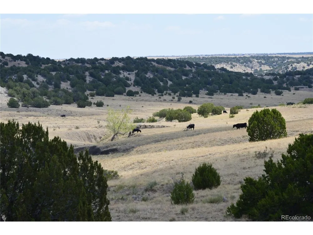 0 Claymine Road Rye, CO 81069