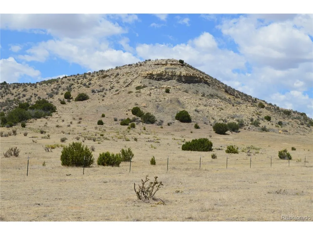 0 Claymine Road Rye, CO 81069