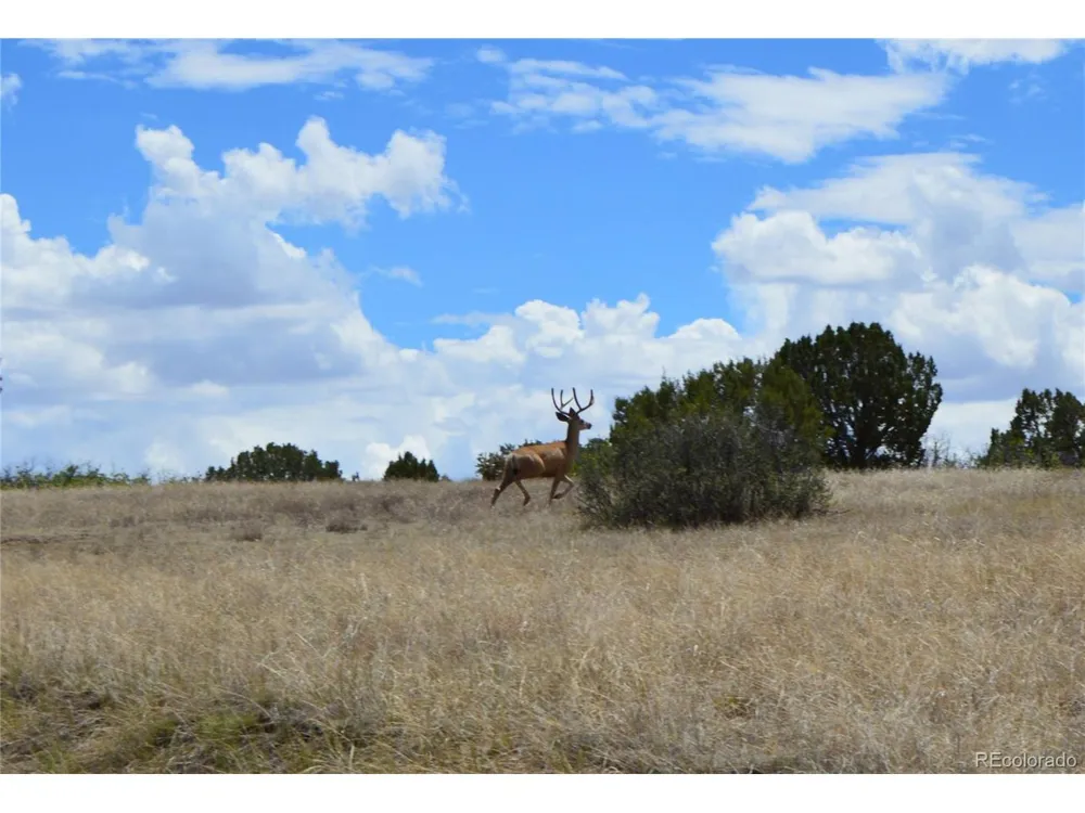 0 Claymine Road Rye, CO 81069