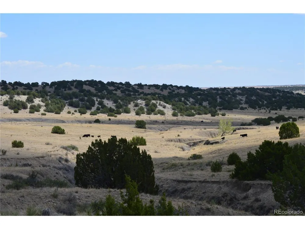 0 Claymine Road Rye, CO 81069