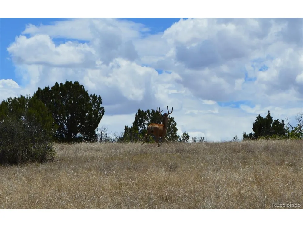 0 Claymine Road Rye, CO 81069