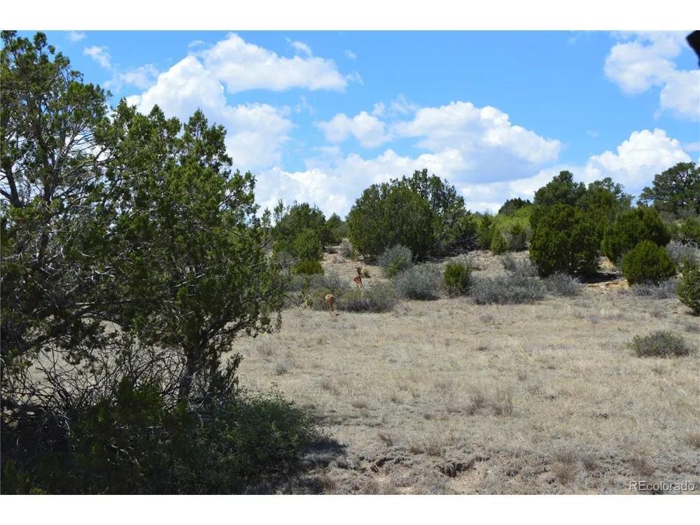0 Claymine Road Rye, CO 81069