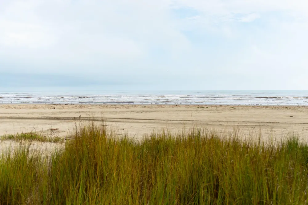 4131 Jackson Drive Galveston, TX 77554