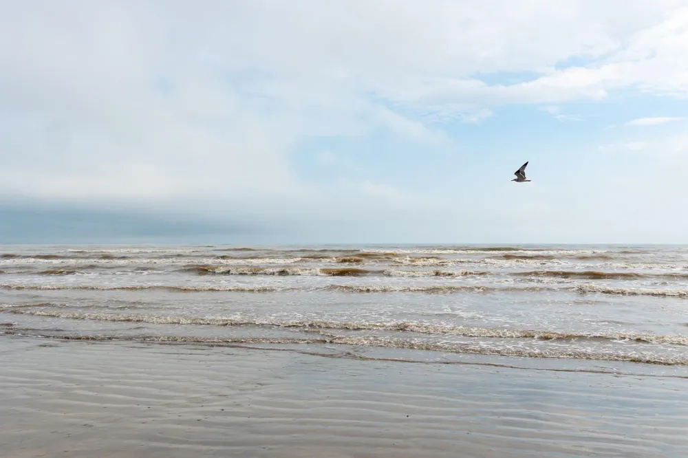 4131 Jackson Drive Galveston, TX 77554