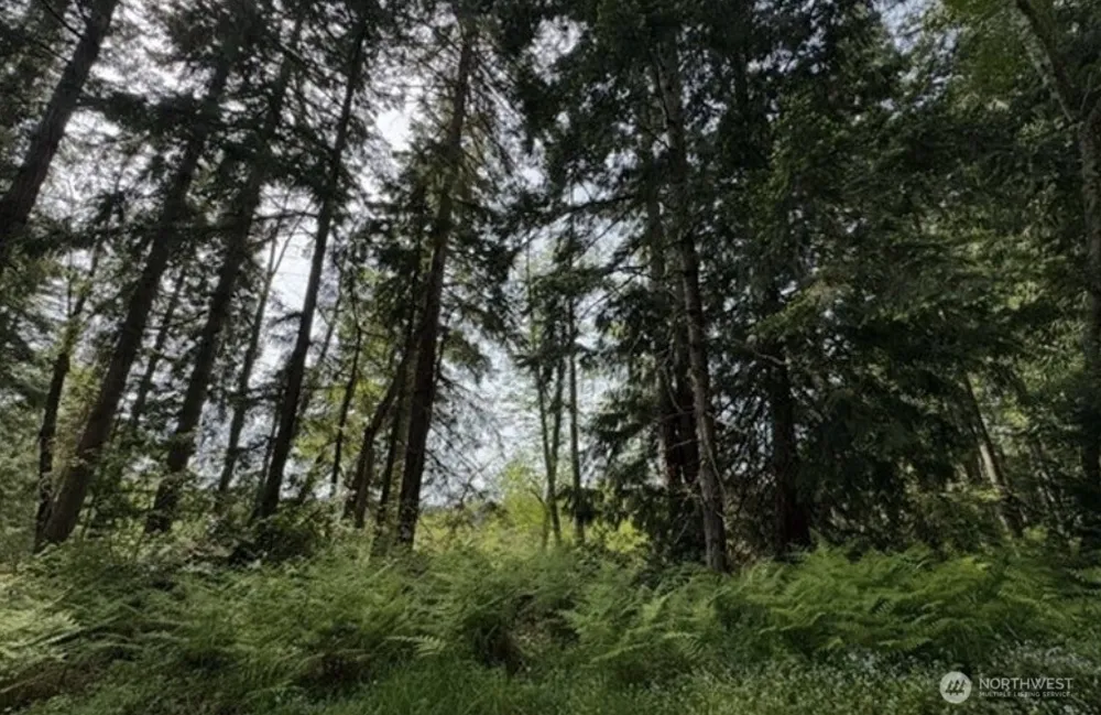 11106 Spruce Dr Anderson Island, WA 98303