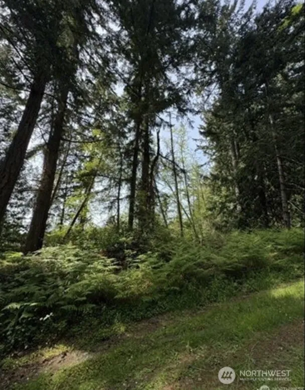 11106 Spruce Dr Anderson Island, WA 98303