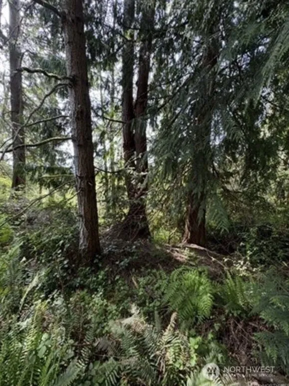 11106 Spruce Dr Anderson Island, WA 98303