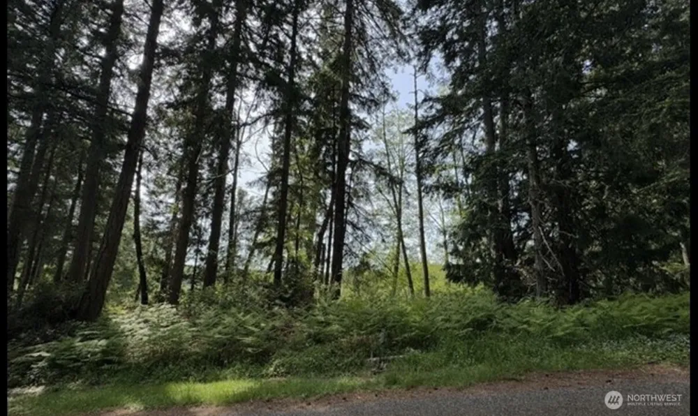 11106 Spruce Dr Anderson Island, WA 98303