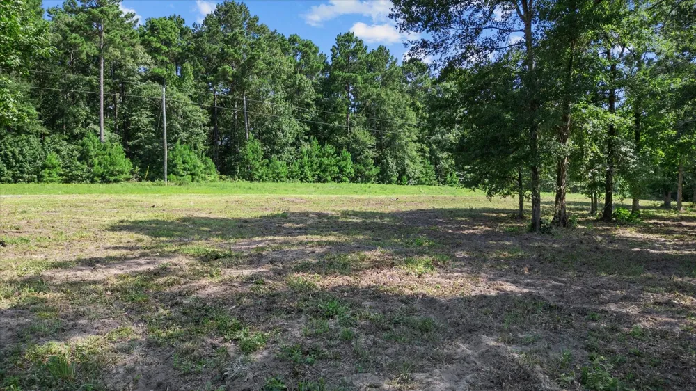 Felix Currie Road Point Blank, TX 77364