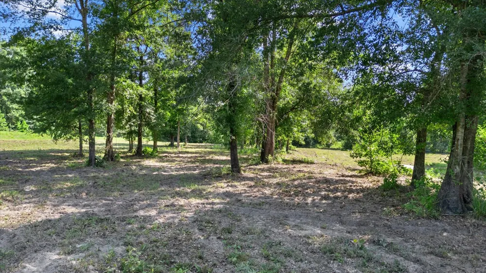 Felix Currie Road Point Blank, TX 77364