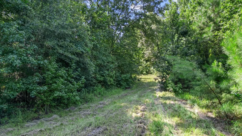 Felix Currie Road Point Blank, TX 77364