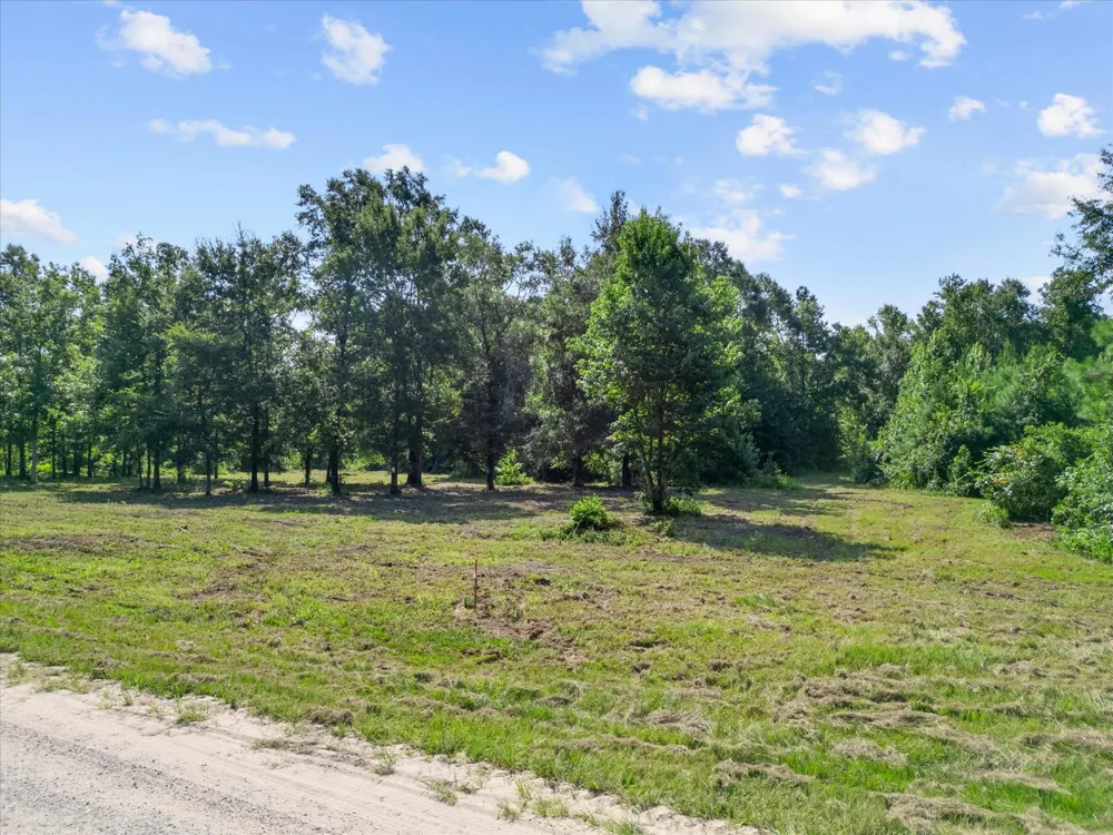 Felix Currie Road Point Blank, TX 77364