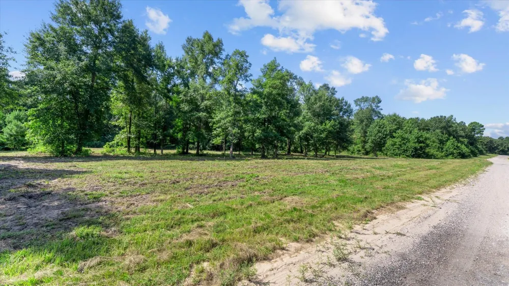 Felix Currie Road Point Blank, TX 77364