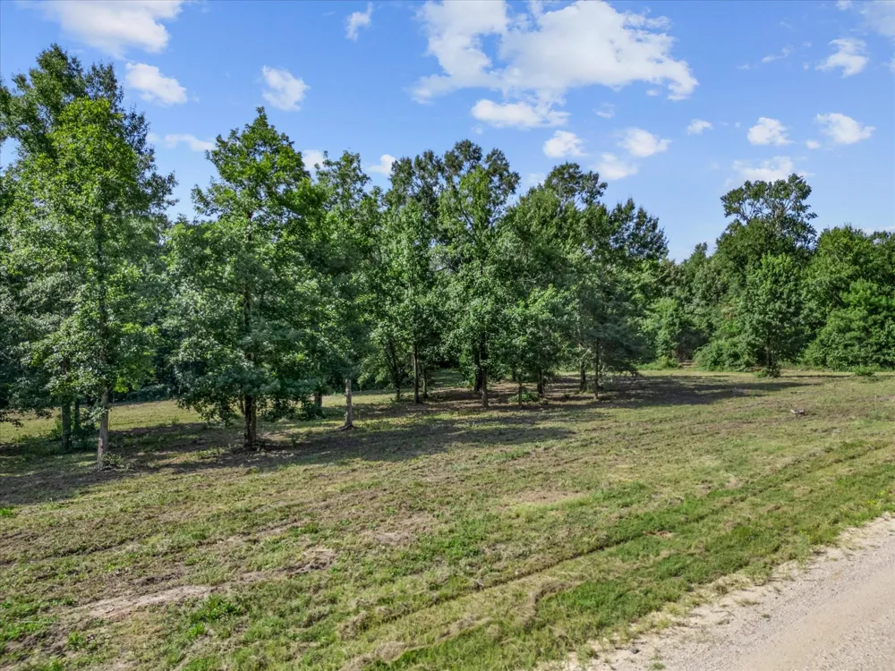Felix Currie Road Point Blank, TX 77364