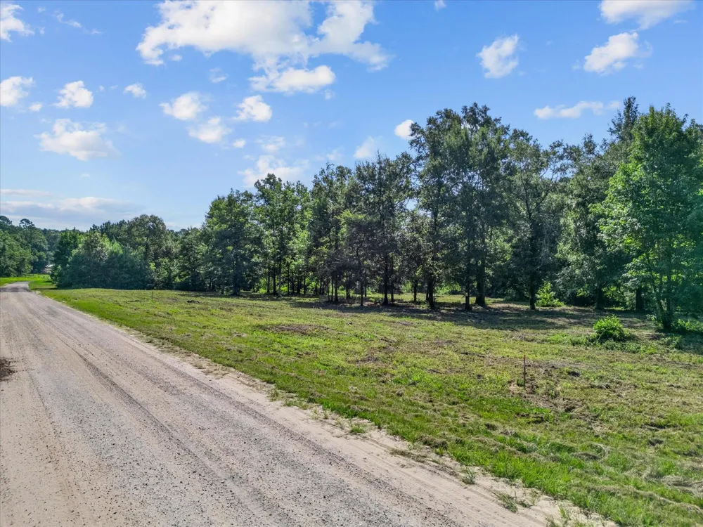 Felix Currie Road Point Blank, TX 77364