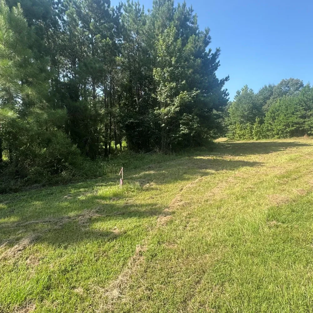 Felix Currie Road Point Blank, TX 77364